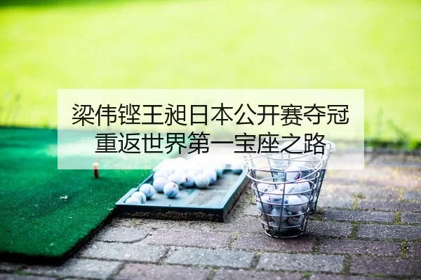 liang-wei-keng-wang-chang-ri-ben-gong-kai-sai-duo-guan-chong-fan-shi-jie-di-yi-bao-zuo-zhi-lu-2-578.jpg