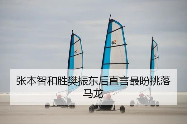 张本智和胜樊振东后直言最盼挑落马龙